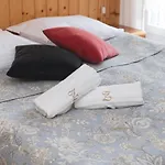Zacheta Appartement *
