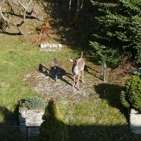 Zacheta 克雷尼察