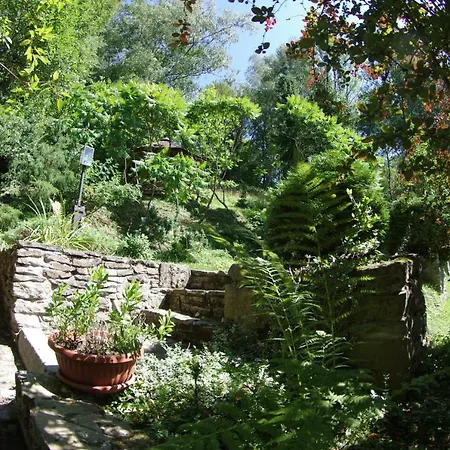 Zacheta 克雷尼察