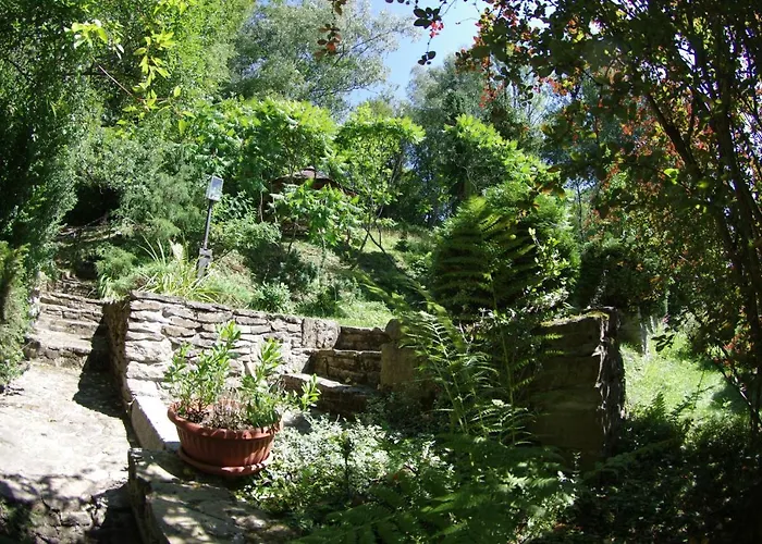 Zacheta 克雷尼察